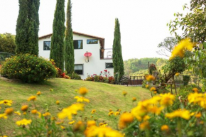 Las Estrellas Agrofinca